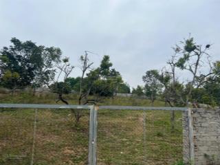 Bán đất hoành bồ quảng ninh giá rẻ