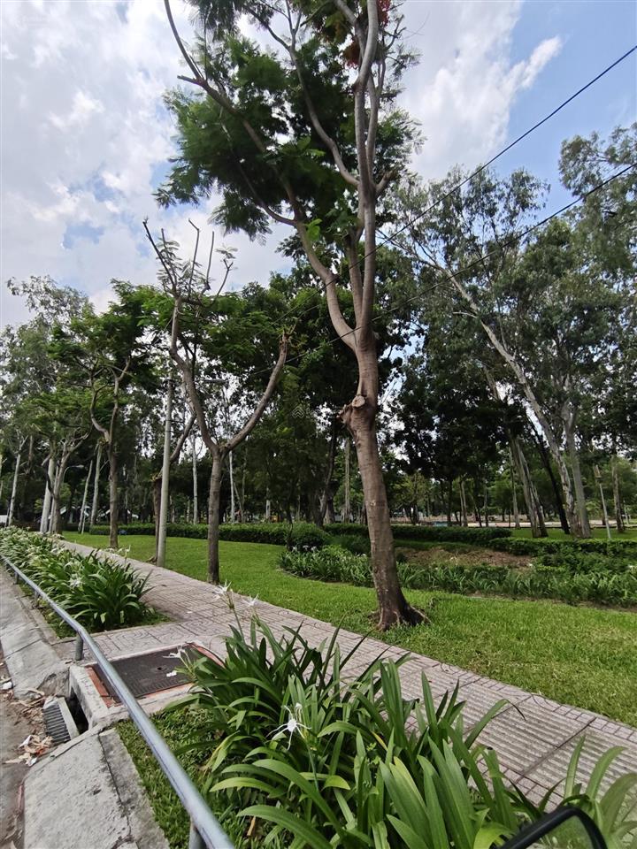 Đất vàng!180m2ngay cửa ngõ sân bayvị trí xứng tầm xd trụ sở nhận diện thương hiệu số 10902 837 ***