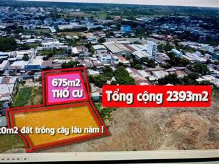 Tài sản lớnmtlớntư duy đầu tư lớn~2300m2mtlê văn khươngngang khổng lồ~50mchỉ38tr/m20902 837 ***