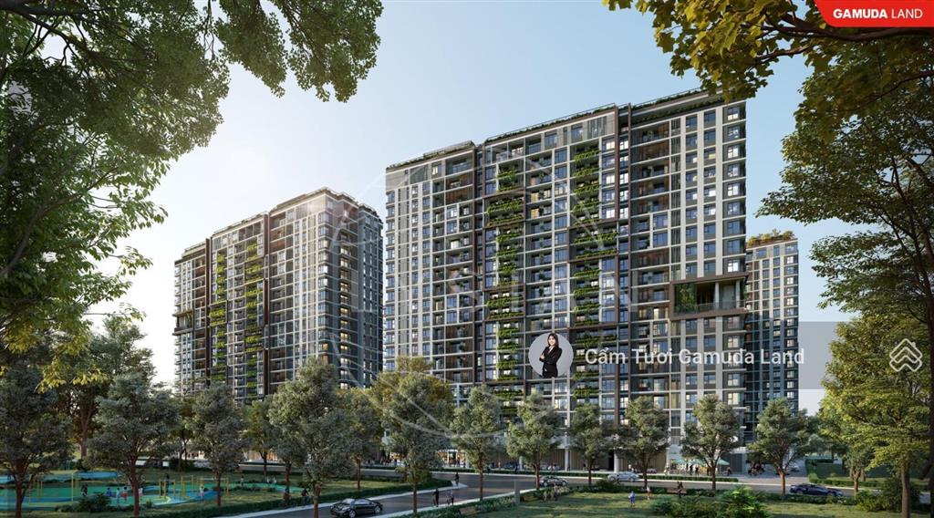 Sale cđt tư vấn rổ hàng elysian cđt/chuyển nhượng theo yêu cầu