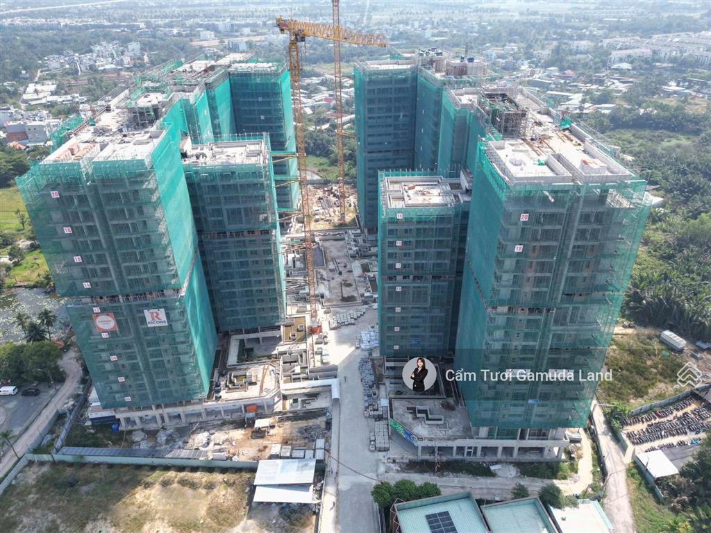 Sale cđt tư vấn rổ hàng elysian cđt/chuyển nhượng theo yêu cầu