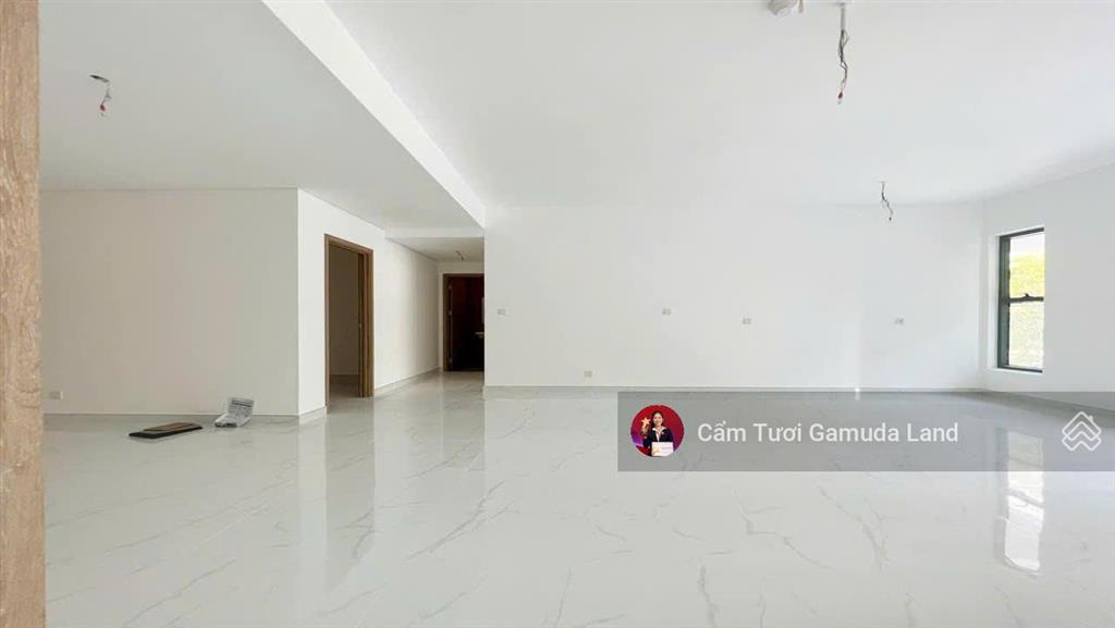 Căn xe hơi lên tận nhà  tháp alnata 217m2 giá 15,5 tỷ (ntcb)