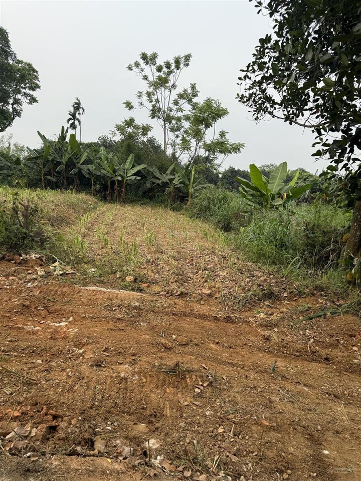 Bán nhà riêng tại yên bài, 7 tỷ vnd, 1440 m2, giá cực chất, view đẹp 0357 378 ***