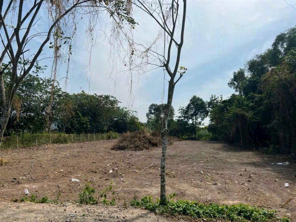 Ấp 5 hòa phú, củ chi mặt tiền đường dương thị tèn 1/ sông lu vào 50m dt 25x60m 1523m2 thổ cư 300m2