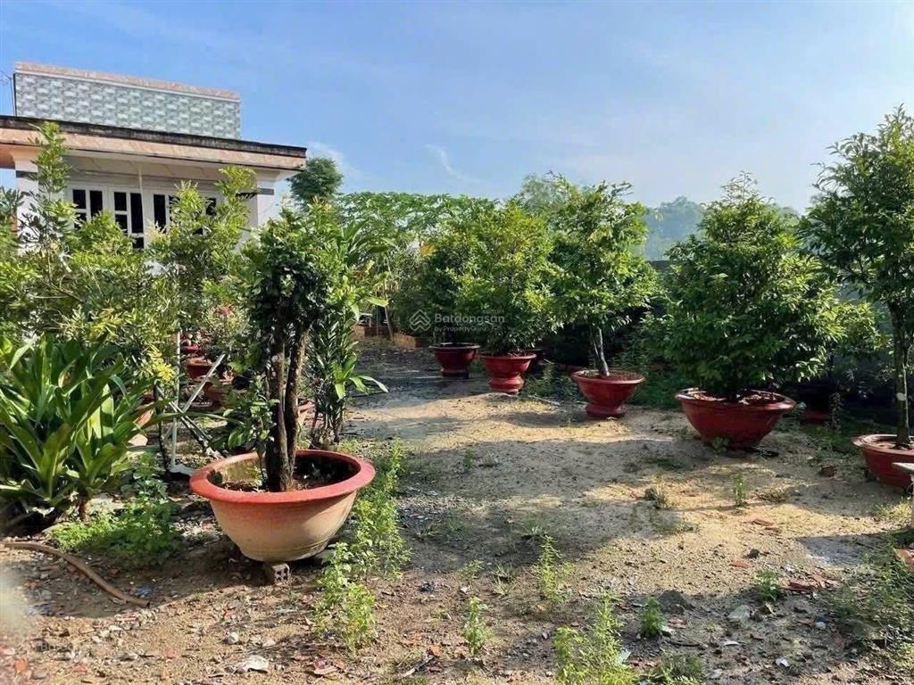Hòa phú củ chi nhà vườn gần tỉnh lộ 8 xã hòa phú cũ (nay xã bình mỹ mới) dt 9,7x50m nở hậu 19,20m