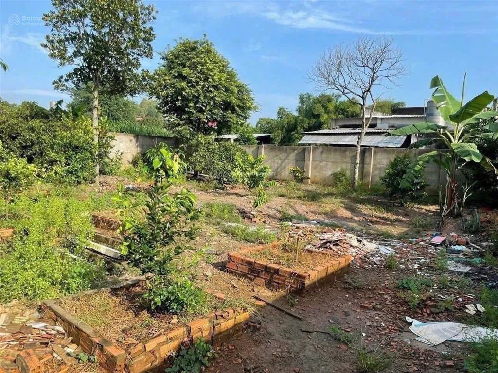 Hòa phú củ chi nhà vườn gần tỉnh lộ 8 xã hòa phú cũ (nay xã bình mỹ mới) dt 9,7x50m nở hậu 19,20m