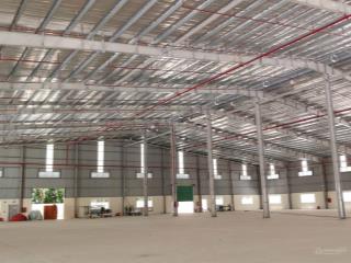 Chính chủ cho thuê 3200m² + 3800m² + 7000m² tại bàu bàng, tp hồ chí minh.  anh giáp 0798 268 ***