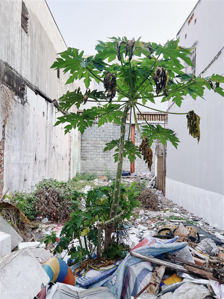 Chỉ 7.29 tỷ sở hữu ngay lô đất 5.5x18m( shr sang tên ngay)