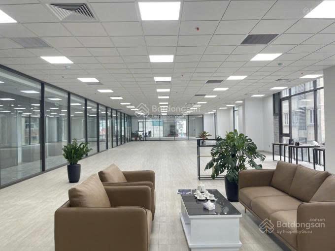 Cho thuê mbkd phố dịch vọng hậu  cầu giấy, diện tích 100m, mặt tiền 10m, giá 36 triệu
