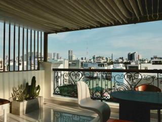 Cho thuê căn 2 phòng ngủ + sân thướng view pháo hoa gần chợ bà chiểu , cầu bông , thang máy lầu 5