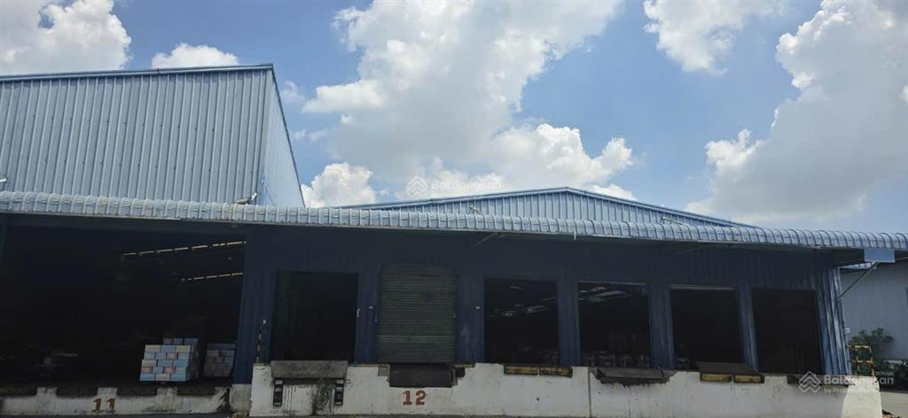 Cho thuê kho chứa hàng 1000 m2 theo nhu cầu, đầy đủ dịch vụ bốc xếp  quản lý kho