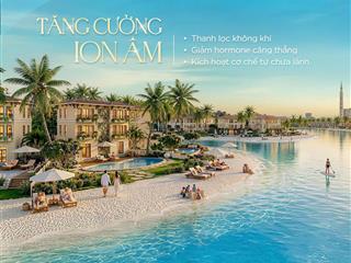 Tìm chủ nhân cho căn biệt thự đơn lập vinhomes paradise cần giờ  không gian riêng tư đẳng cấp