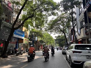 Rất hiếm  bán biệt thự dự án mới giữa phố lạc trung gần times city, trung tâm hai bà trưng, giá rẻ