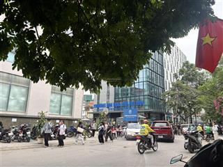 Vip  biệt thự 4 tầng dự án đô thị mới giữa trung tâm hai bà trưng 270m2 sổ đỏ chỉ 280tr/m2 giá trị