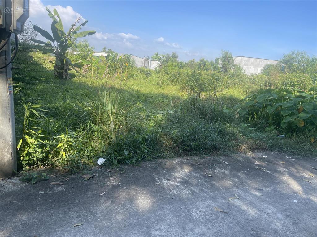 Bán đất kế bên đường 25c nhơn trạch. sổ riêng và thổ cư 100%