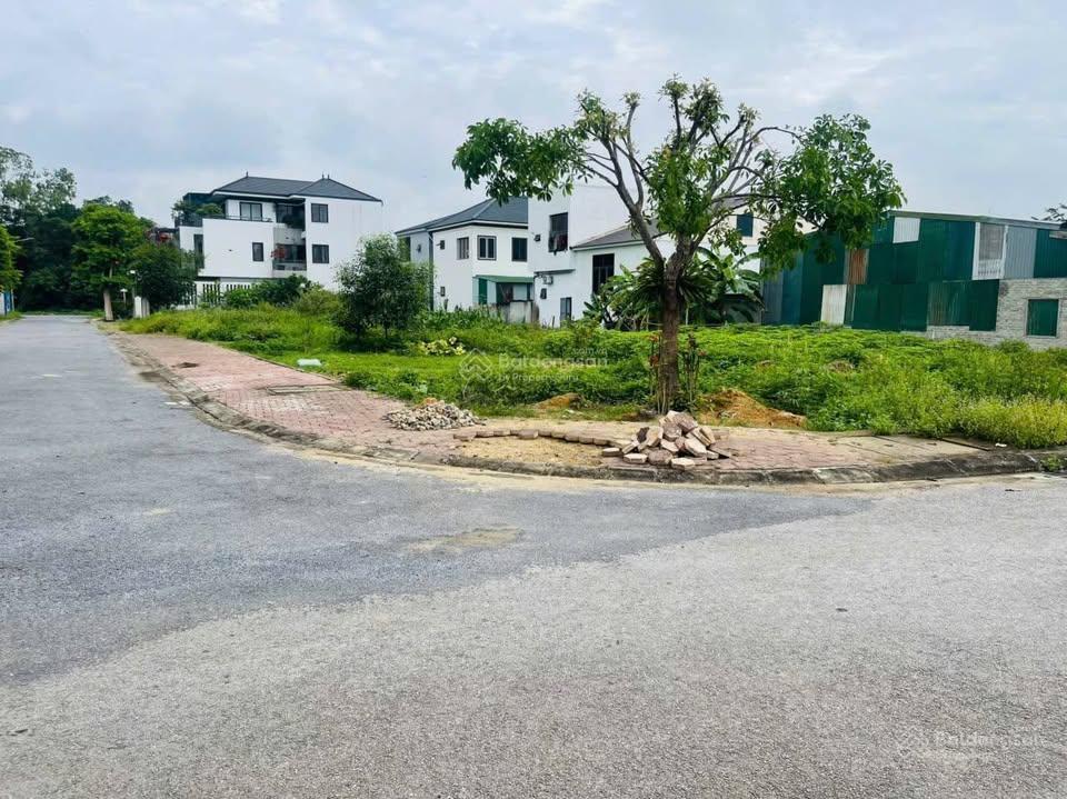 Đất đấu giá xuân đồng nghi đức | lô góc 2 mặt tiền thoáng đẹp