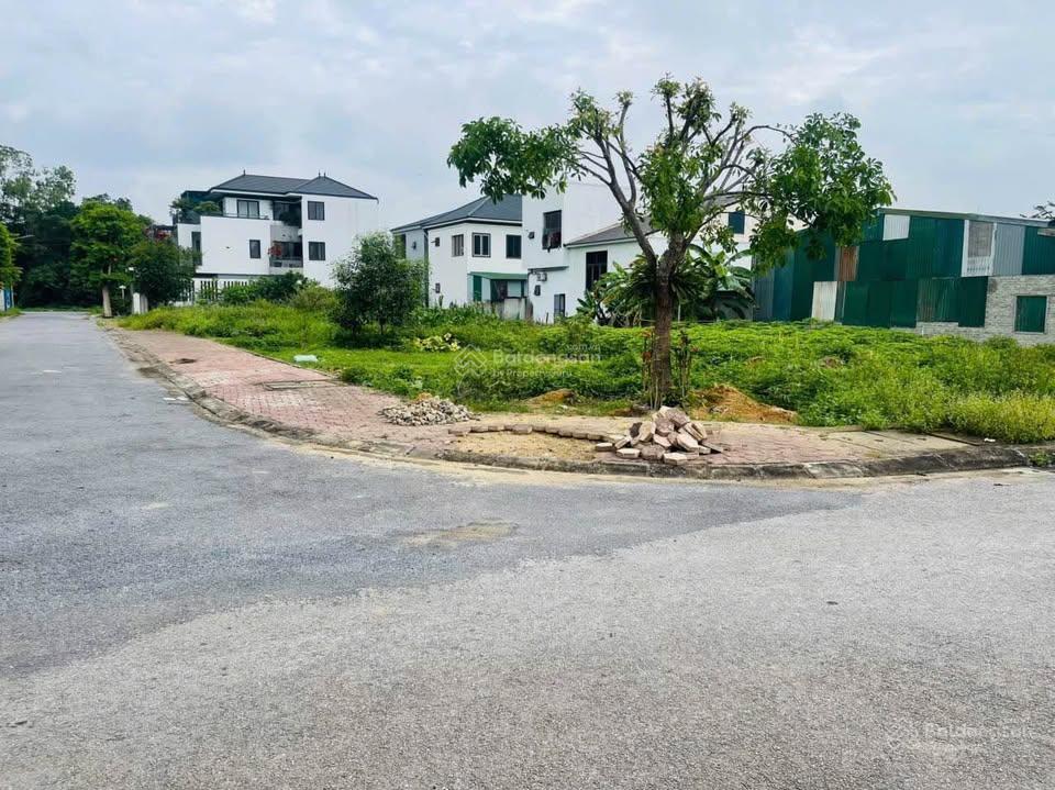 Đất đấu giá xuân đồng nghi đức | lô góc 2 mặt tiền thoáng đẹp