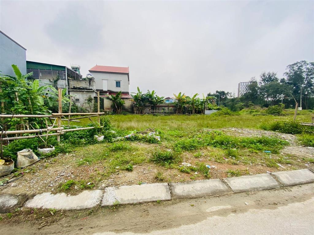 Bán đất đấu giá khối 6 quán bàu sổ đỏ chính chủ gần mai hắc đế và ngô gia tự