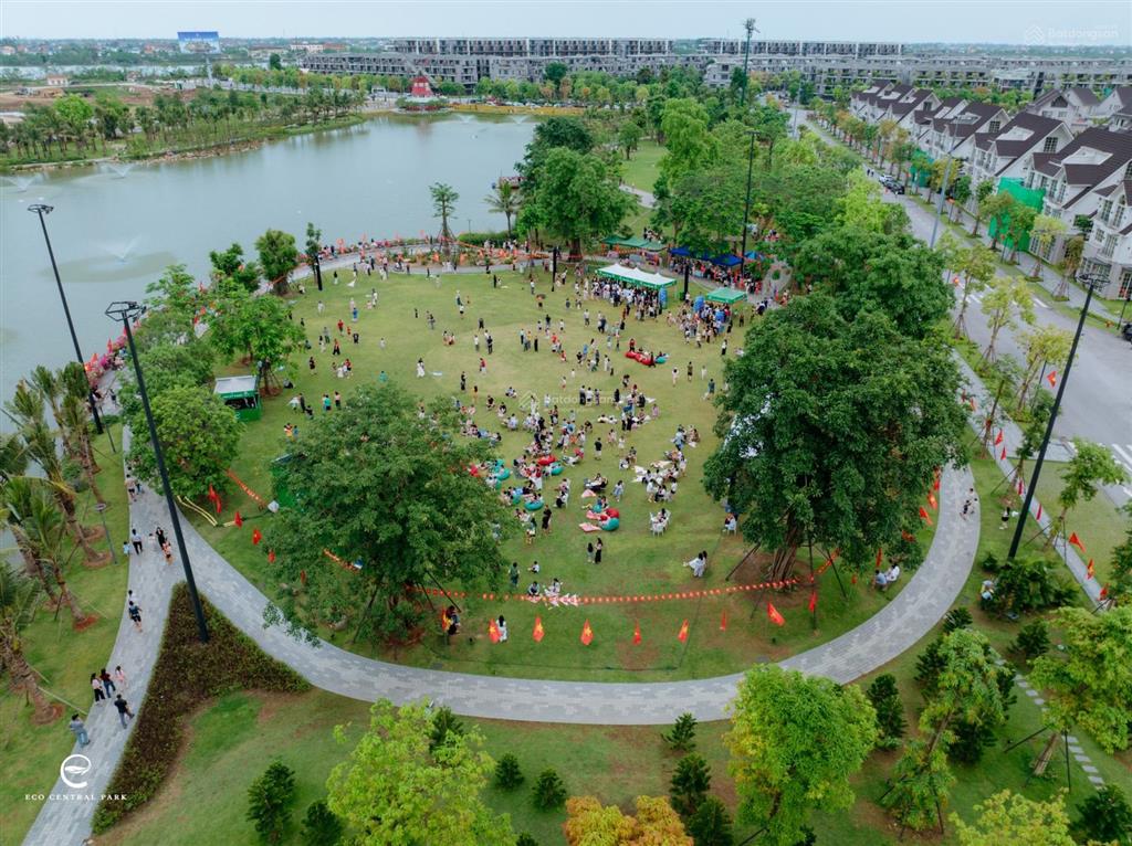 Bán chung cư cao cấp seaview residences  ecopark vinh