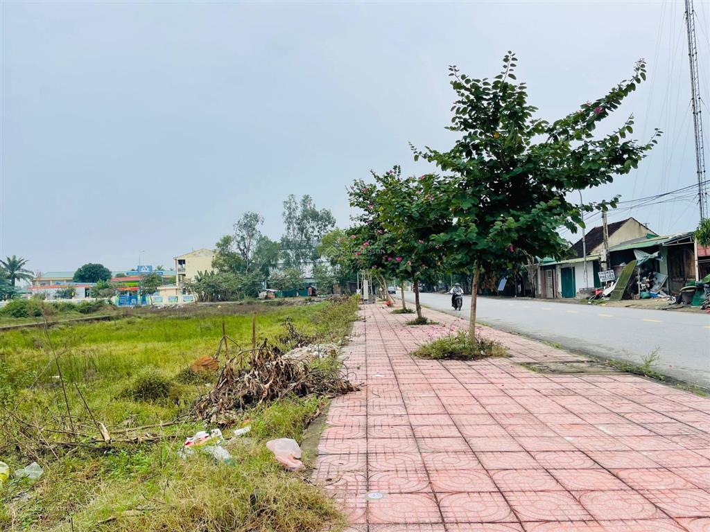 Bán đất đấu giá xuân hoa, nghi đức mặt đường bùi thế đạt, giá đầu tư
