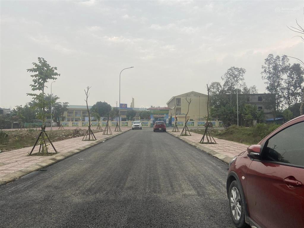Bán đất đấu giá xuân hoa, nghi đức mặt đường bùi thế đạt, giá đầu tư
