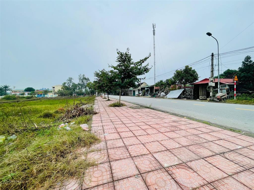 Bán đất đấu giá xuân hoa, nghi đức mặt đường bùi thế đạt, giá đầu tư