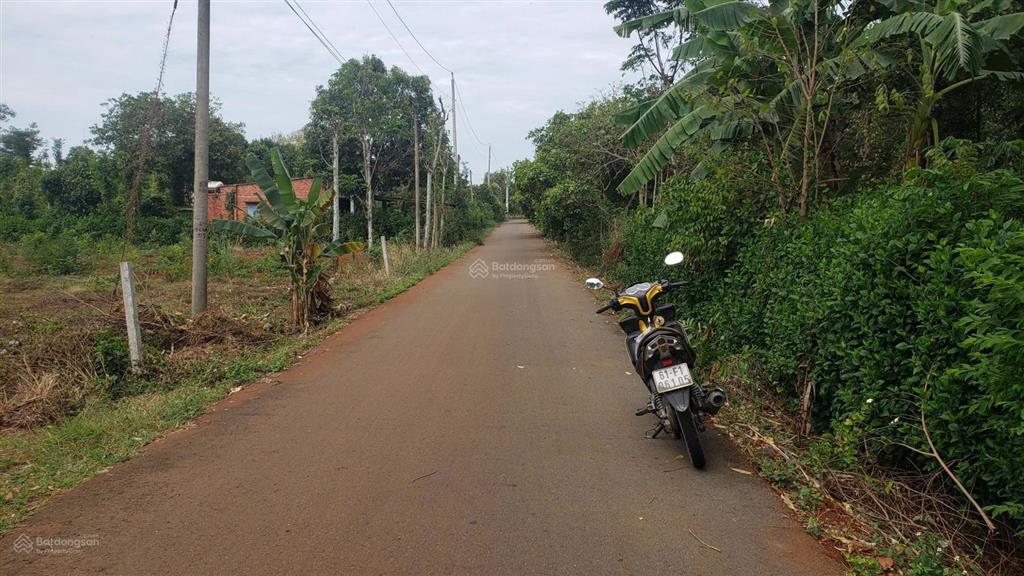 Bán gấp 1.223m2 giá 1.56 tỷ, tp. hồ chí minh,(x. nghĩa giao, bà rịa  vt), có 3 mặt tiền đường lớn