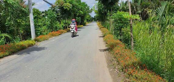 Đất vườn mặt tiền đường 4c cách quốc lộ 50 100m, giá 3,8tỷ,  0933 525 ***