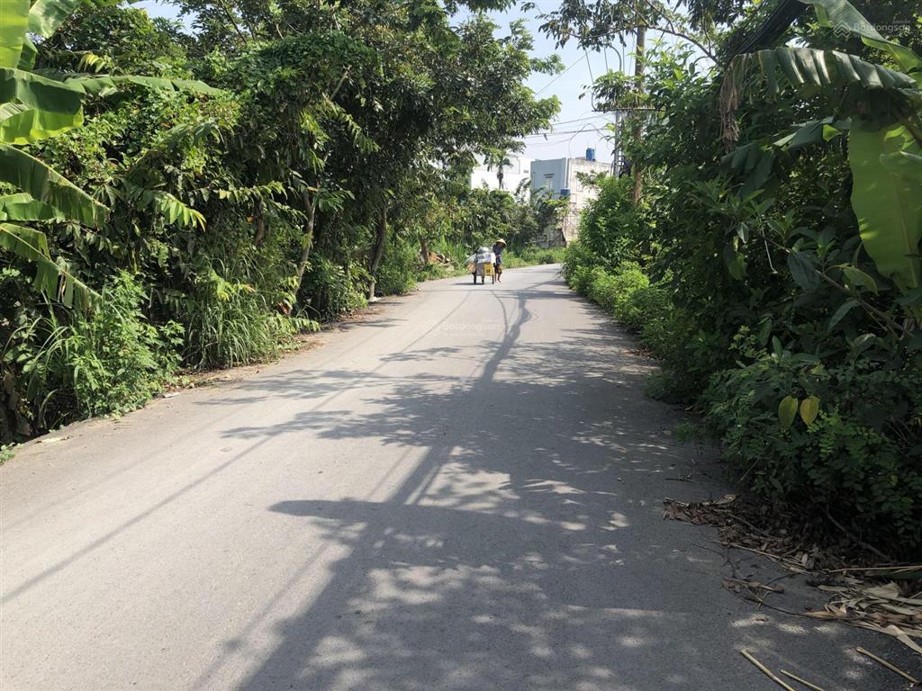 Bán đất tại đường 4c, xã đa phước, bình chánh, hồ chí minh, giá tốt 3,8 tỷ, 250 m²