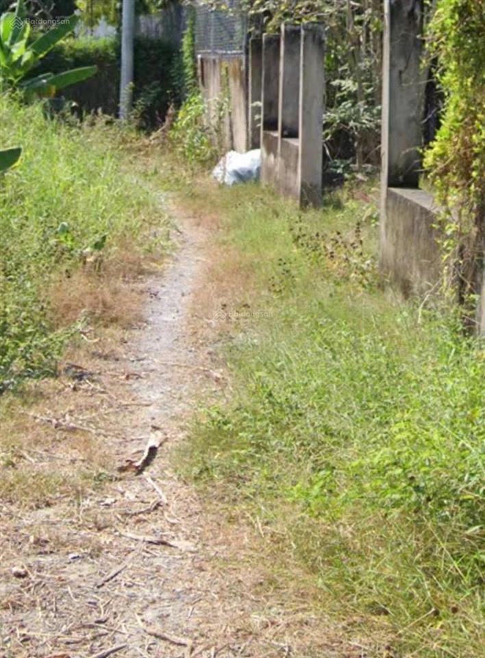 Bán đất vườn giá rẻ, 1000m2, đường ô tô giá 3,2tỷ, đường 4c xã đa phước, bình chánh