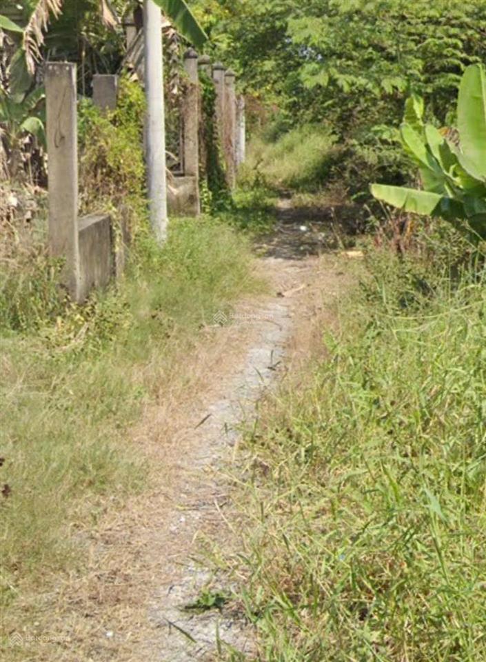 Bán đất vườn giá rẻ, 1000m2, đường ô tô giá 3,2tỷ, đường 4c xã đa phước, bình chánh