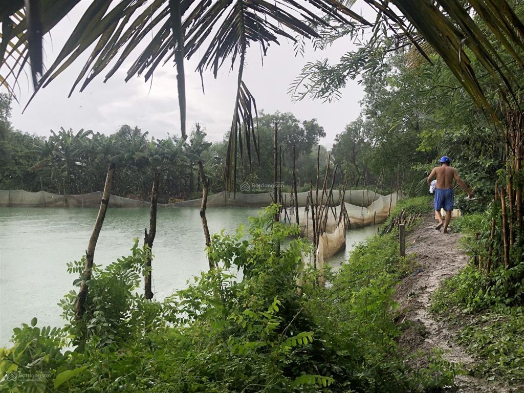 Bán đất vườn diện tích lớn 6.500m² giá chỉ 980k/m² tờ bản đồ số 3 gần khu thể thao thành long