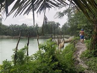 Bán đất vườn diện tích lớn 6.500m² giá chỉ 900k/m² tờ bản đồ số 3 gần khu thể thao thành long