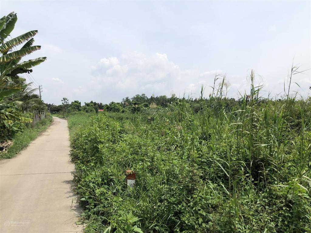 Bán đất vườn diện tích lớn 6.500m² giá chỉ 980k/m² tờ bản đồ số 3 gần khu thể thao thành long