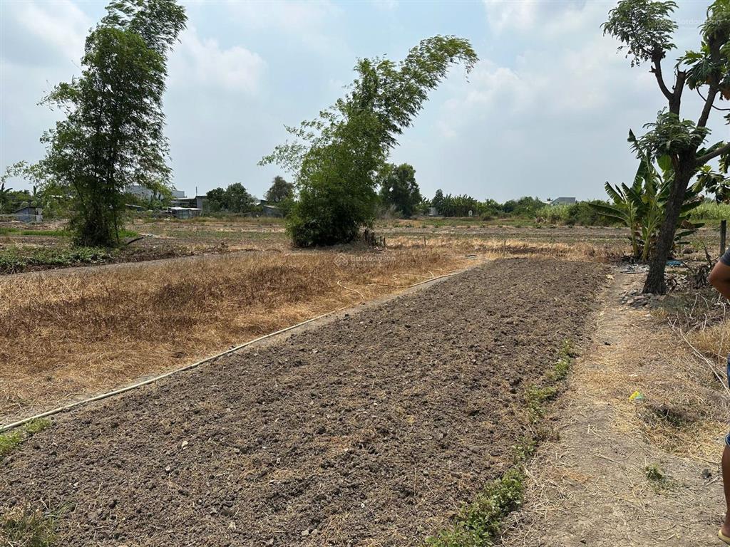 Bán đất nông nghiệp gần trường nguyễn văn trân, đa phước, bình chánh, 18,5 tỷ, 9500 m2