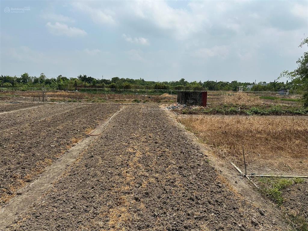 Bán đất nông nghiệp gần trường nguyễn văn trân, đa phước, bình chánh, 18,5 tỷ, 9500 m2