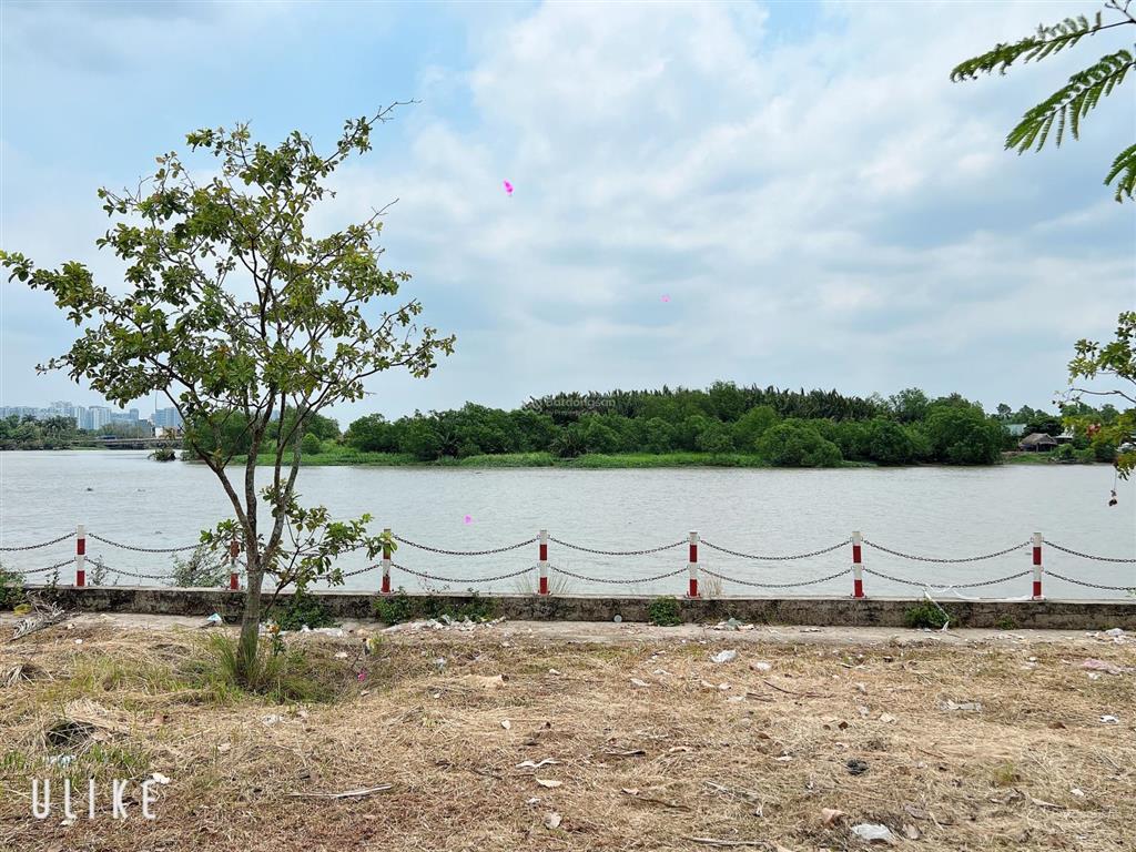 Đất 8x19 đối diện trường mầm non tam đa, đường 12m điện âm, 30m ra sông tắc, chỉ 50tr/m²