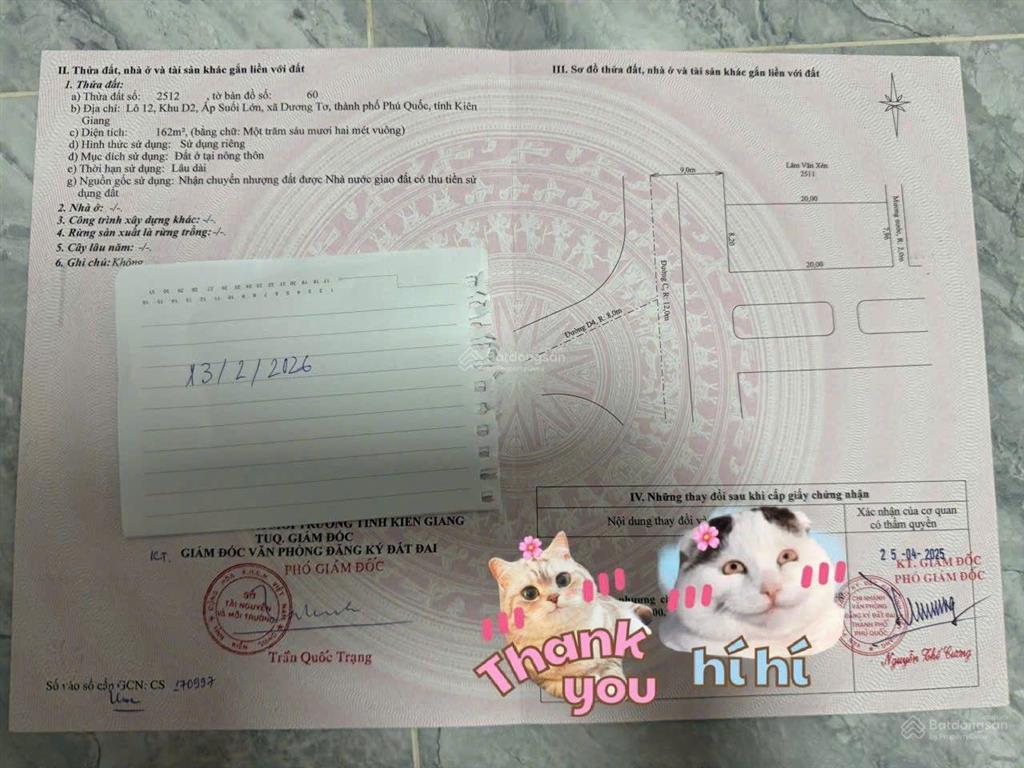 Lô góc chỉ giảm giá trong mùa mưa ở phú quốc