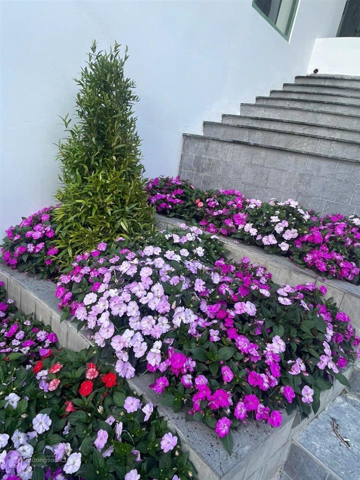 Bán khách sạn đường đống đa đà lạt tầm nhìn triệu đô, pháp lý chuẩn pccc