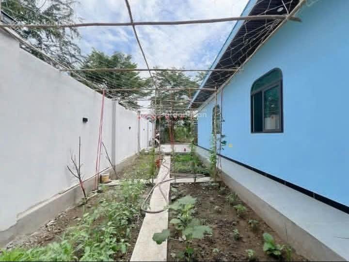 Giảm 300 triệu chính chủ cần bán gấp căn nhà vườn ngay chợ phú lạc trịnh quang nghị shr