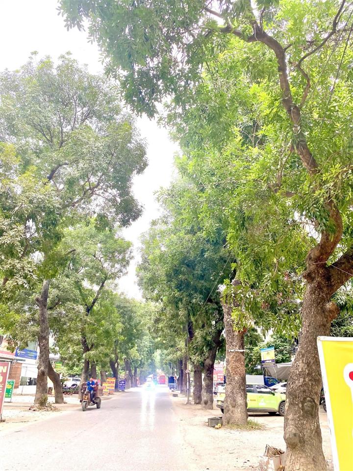 Lô đất rẻ nhất khu a. tiềm năng tăng trưởng cao giáp tttm bitis và bến xe yên nghĩa đường vành đai