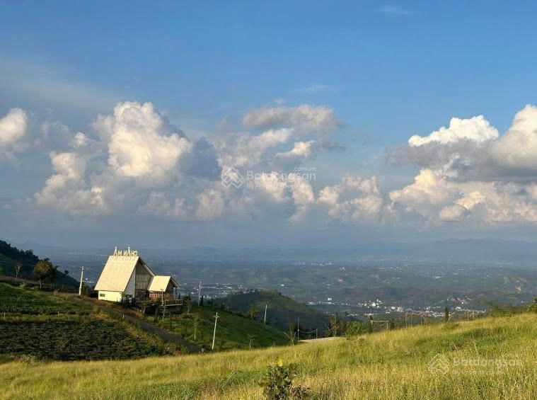 Đất săn mây thực tế view thoáng đẹp có thổ cư sẵn điện sổ riêng