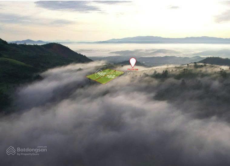 Đất săn mây thực tế view thoáng đẹp có thổ cư sẵn điện sổ riêng