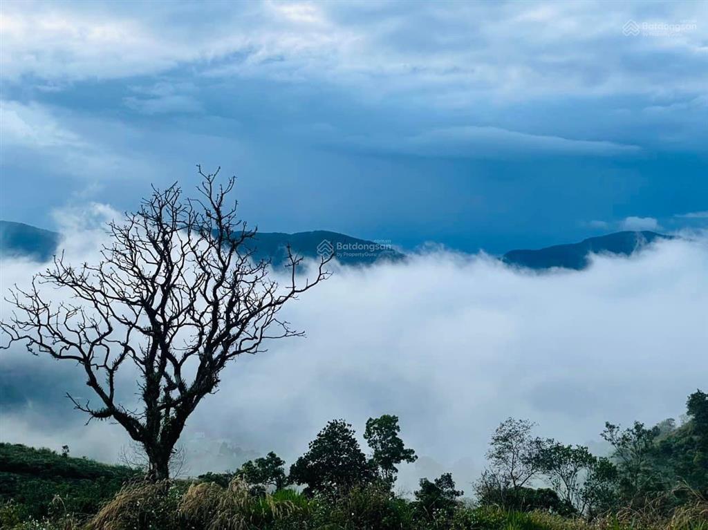 Đất săn mây thực tế view thoáng đẹp có thổ cư sẵn điện sổ riêng