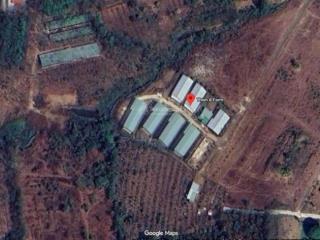 Bán đât trại gà lộc ninhbình phước