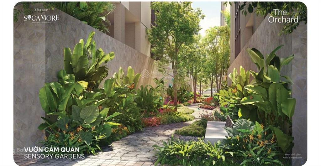 Chính chủ bán lỗ căn hộ 2pn orchard hill giá 4,05tỷ view công viên, dự án sycamore bình dương