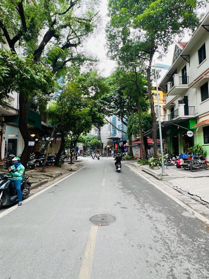 Mp trần quang diệu  6 tầng  vỉa hè rộng  kinh doanh sầm uất  nhỉnh 2x tỷ.