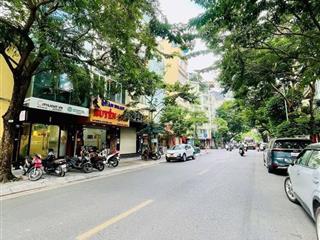 Cực hiếm! mp nguyễn du  trung tâm hbt  7 tầng thang máy  vỉa hè  kinh doanh