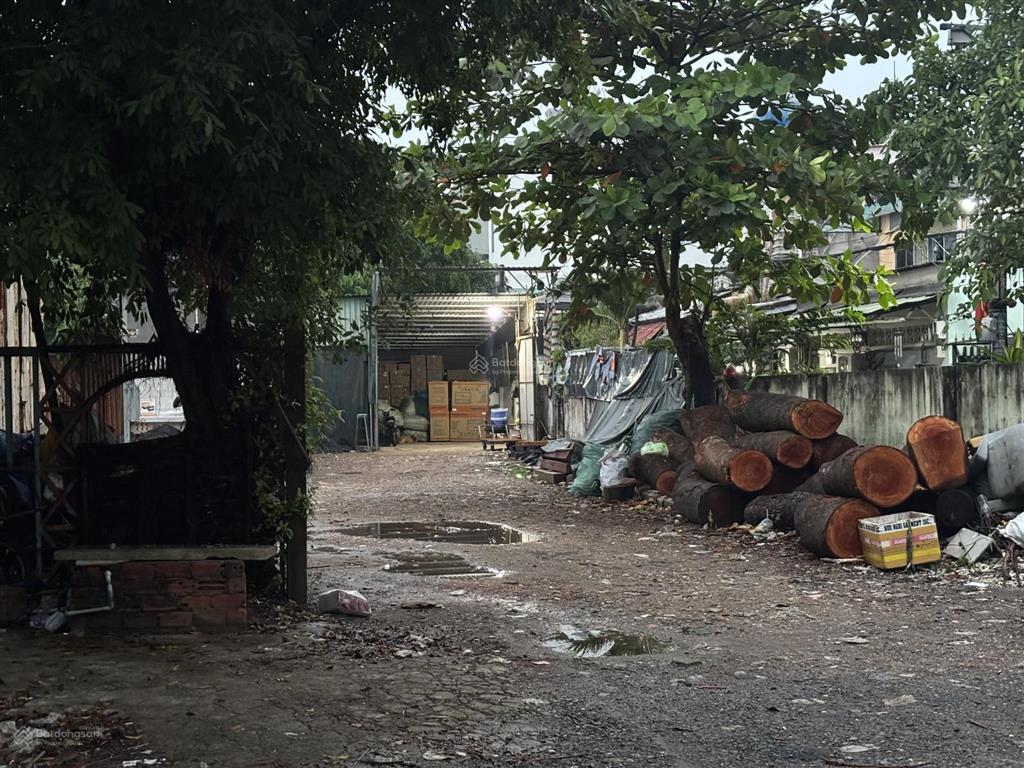 Cho thuê 1000mv đất, hđ 5 năm chỉ 55tr