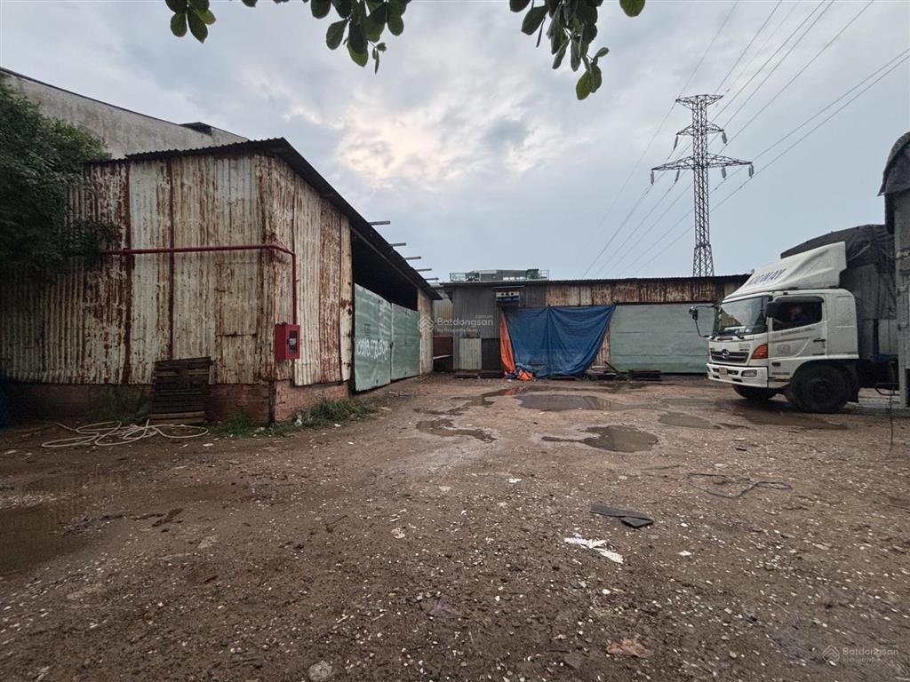 Cho thuê 1000mv đất, hđ 5 năm chỉ 55tr